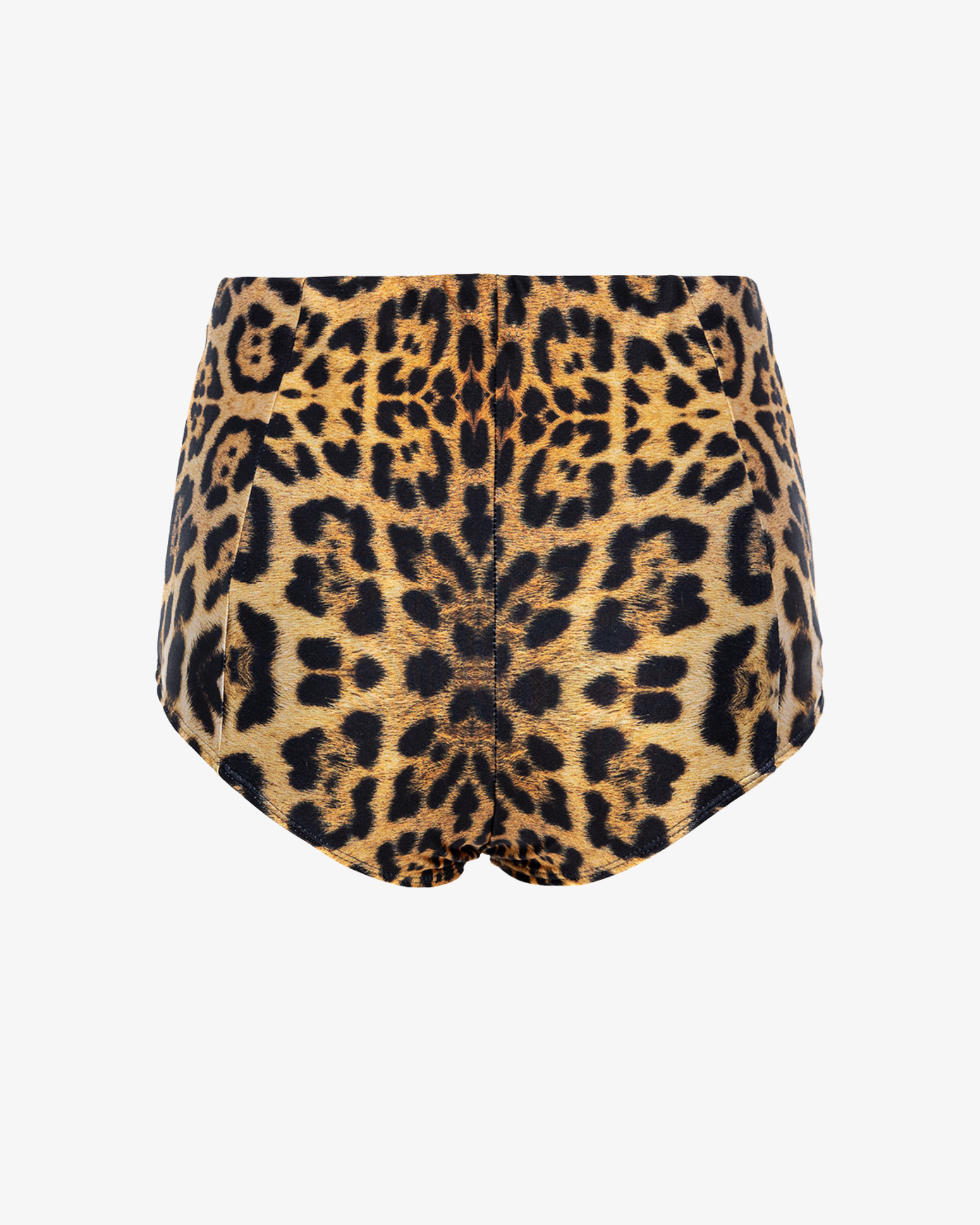 Boxeri High on Leopard